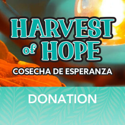 Donation
